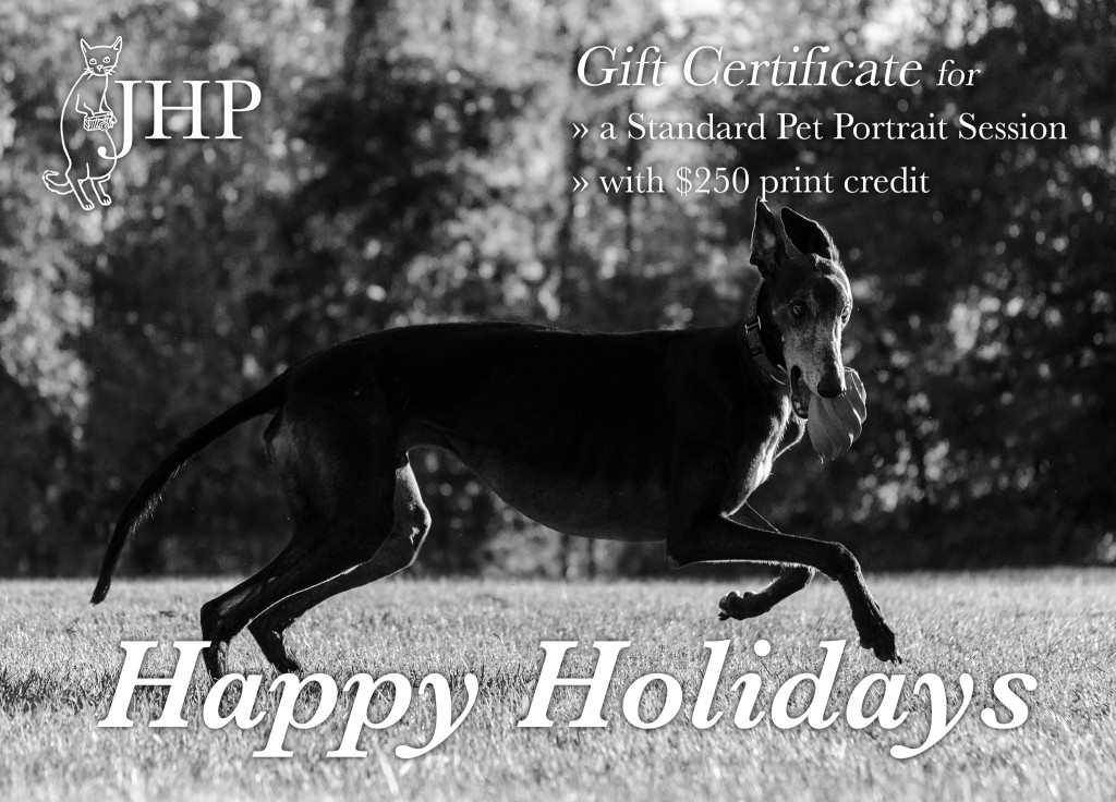 JHP Gift Certificate Standard 2015 dog